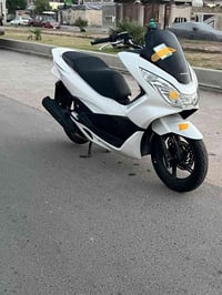 هوندا PCX • كفاله عامه • البلديات