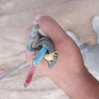 ٤×١٦ • ١٤متر • سعودي