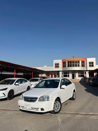 ٢٠١١ • صبغ قطعتين • دهوك