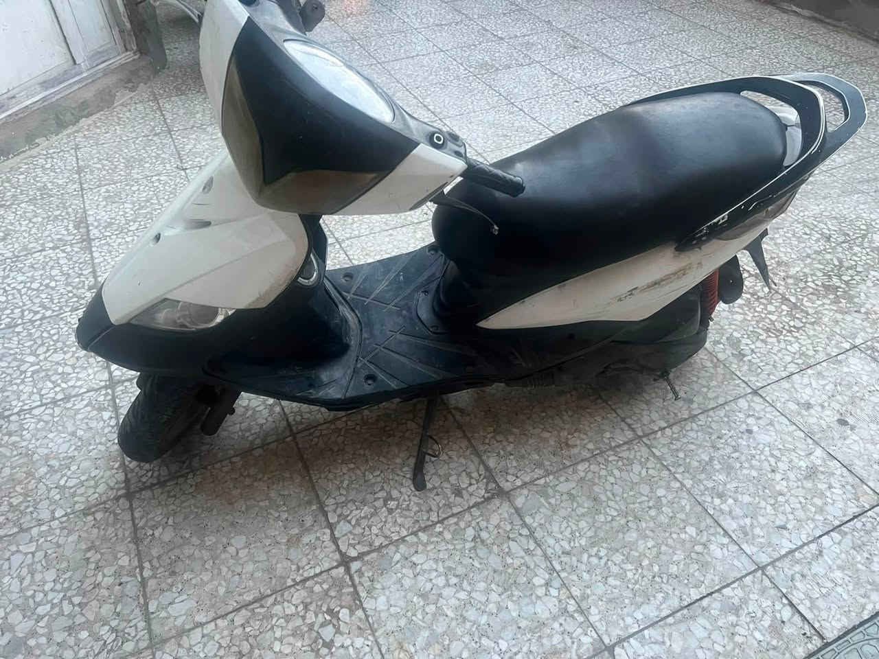 ثعلب • ١٤٠ • بغداد