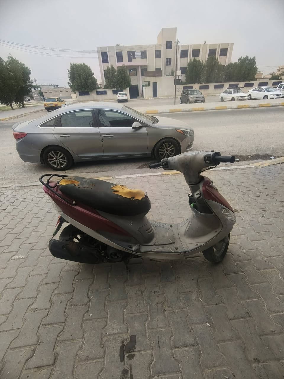 مفتوحه • للبيع • شهداء سيف سعد