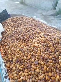 تمر علف • صلاح الدين • الموصل