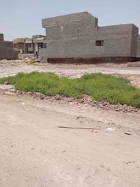 محيزم شارع 100 • ١٠٠م • طابو ملك صرف
