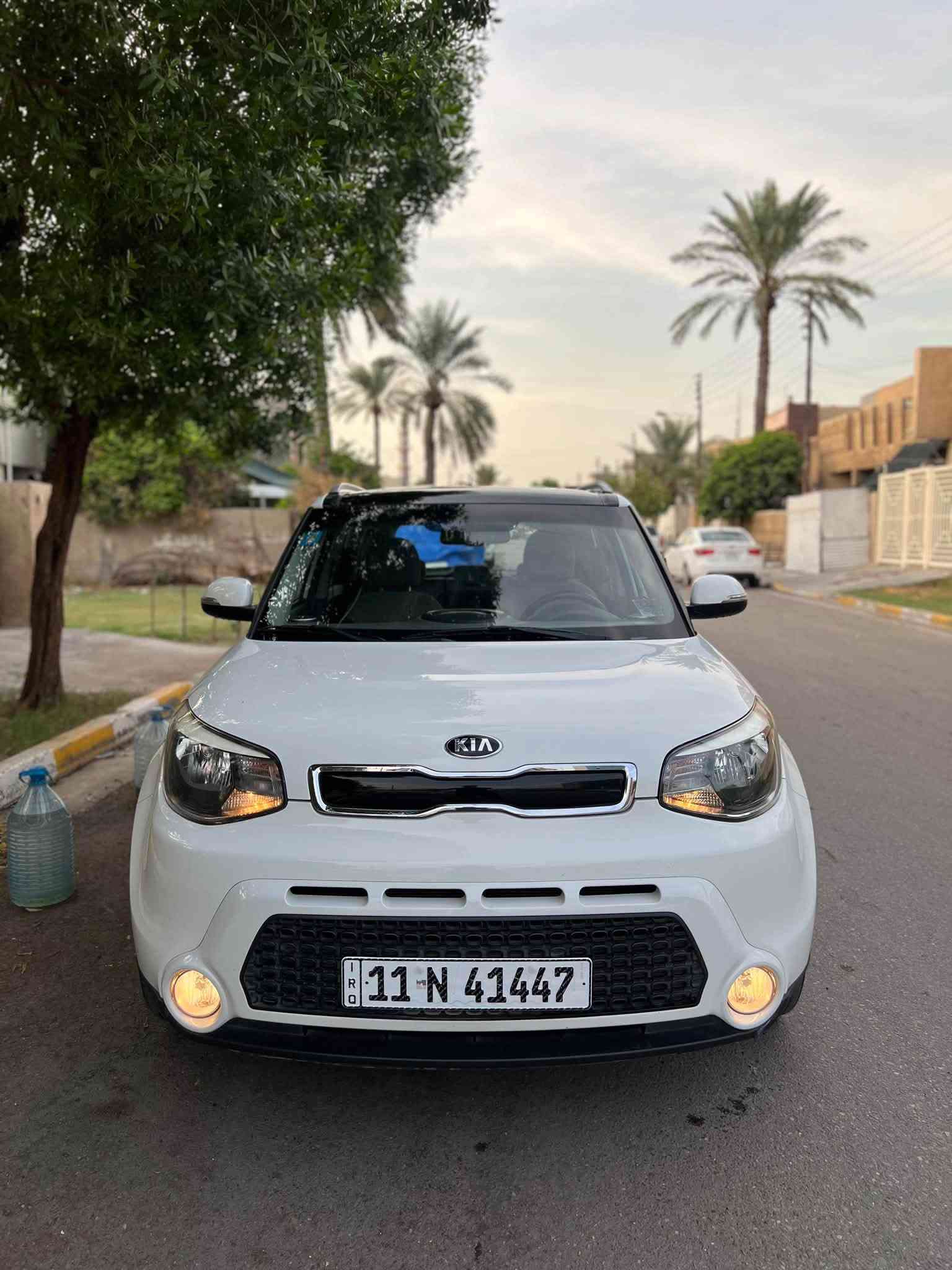 فول ١/١ • ٢٠١٦ • بدون صبغ