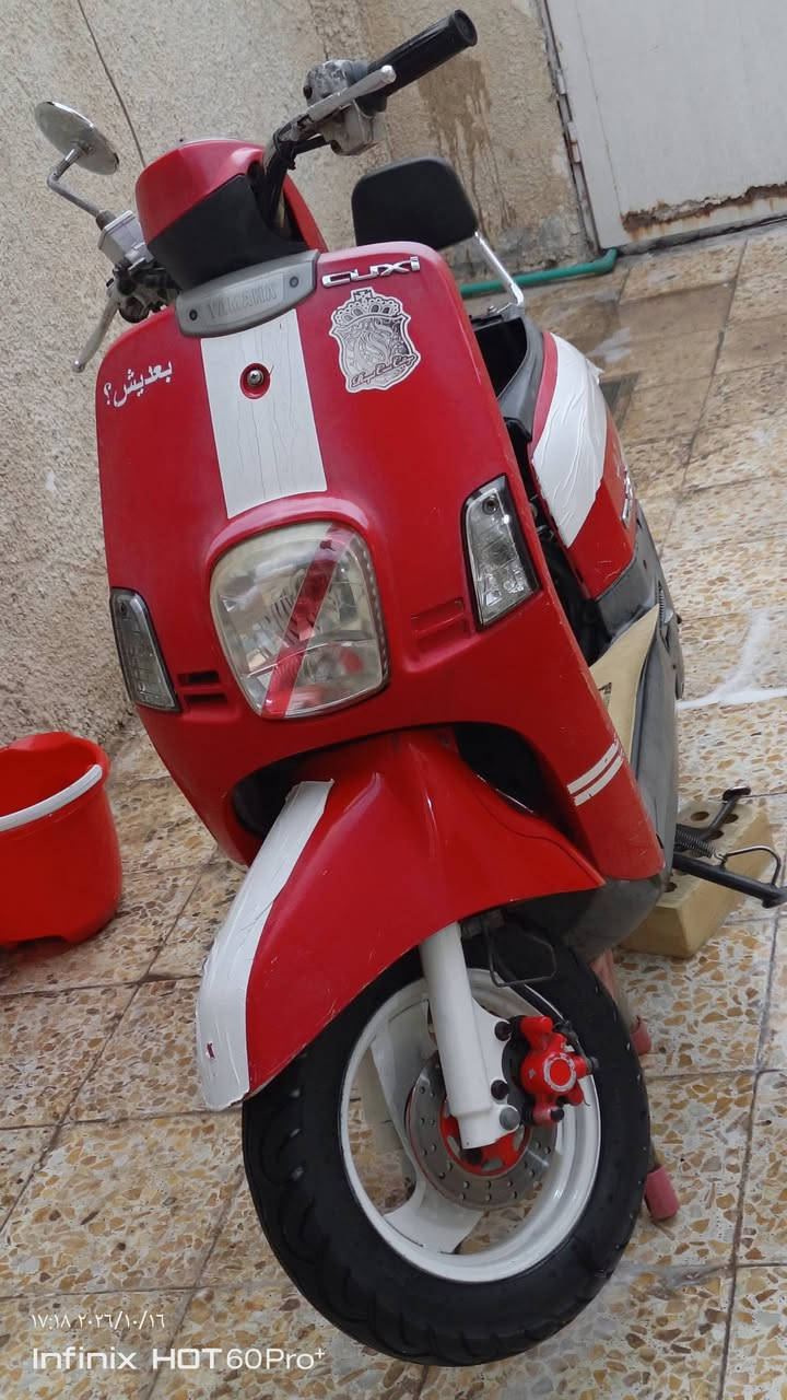 بوليسي • جديدة • مكفولة