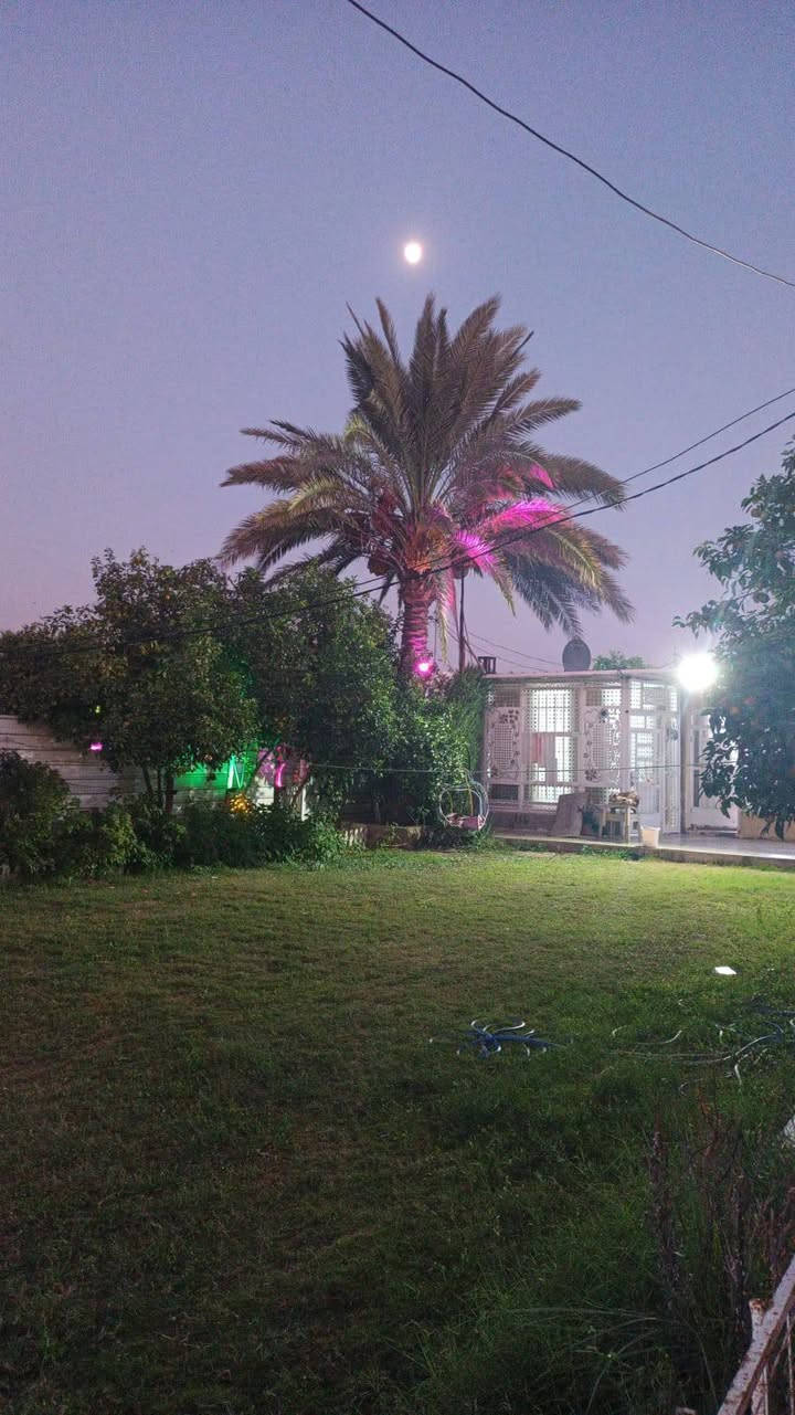للبيع مزرعه واسط الصويره واحد  دونم  واجه ٢٨ متر تبعد عن جسر الصوير مدخل الشجيريه المعهد التقني ٥دقايق تبعد عن نهر دجله ١٥٠ متر تقريبا تبعد عن نهر المبطن ٦متر بيه ابيوت ٢ الاول ٢٠٠ متر والثاني ١١٠ متر سقوفهن سندويج خدمات كامله منضومه اناره ليليه ابلوجكترات منضومه كامرات تصوير ليلي نهاري ماء اساله وماء لسقي البستان كهرباء ٣خطوط بستان حمال حمضيات بانواعها ونخل وتفاح تحتوي عل حديقه ٣٥٠ متر شلال للمعلومات اتصال *********** ابو طيبه
