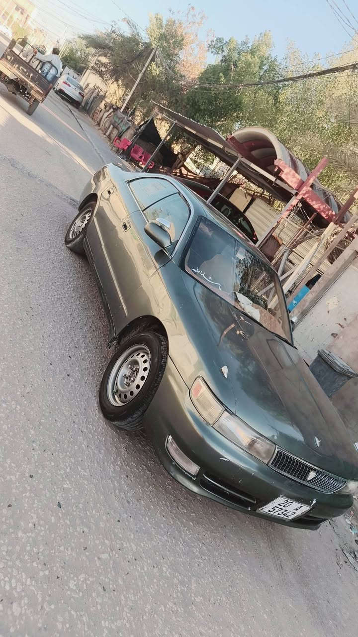 شيزر • نفخ • كفالة