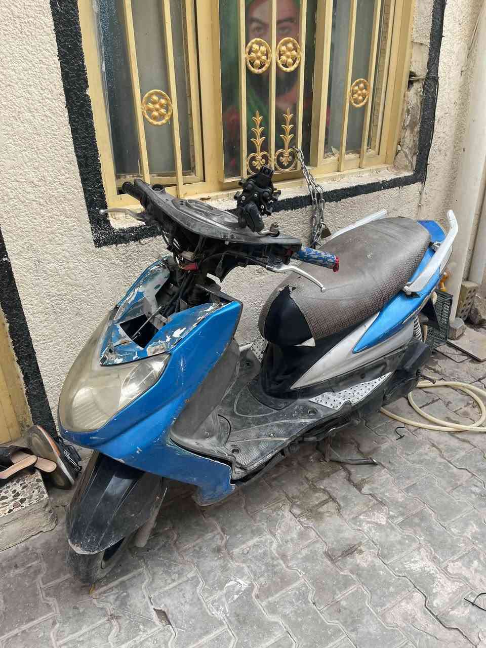 سكنس فحل • نزول • يحتاج شوتة