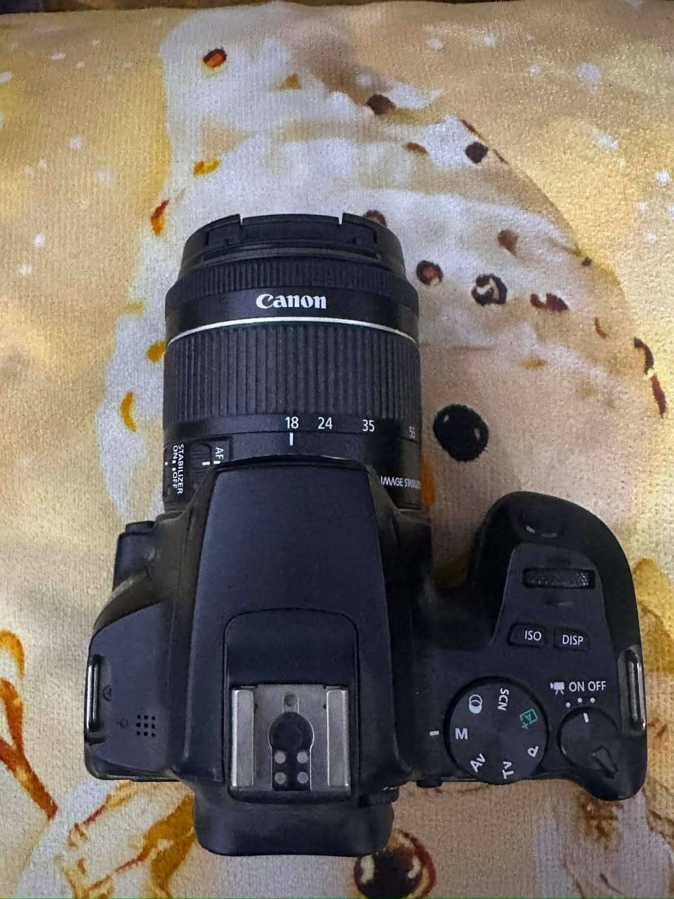 كامرة كانون 250D فول نضافة واستخدام شخصي قليل 
مع عدسة عدد ٢ وحدة 35-55 و وحدة 50mm 1.8 سينمائية 
وياة مايك شودكان بويا مايك 
بطارية و الشاحنة مالتة و حزام مال كامرة 
و جنطة 

كل هذني رايدهم بي ٦٠٠ الف للعلم ماكو هيج سعر 
بس العدسة و المايك وحدهم يعرهم بال ٢٥٠ الف و الكامرة وحدها بحدود ٥٠٠ الف لان مستعجل علية 

السعر شامل كلشي ٦٠٠ الف 

عنواني الدورة قرب كلية دجلة 
*********** 
***********
