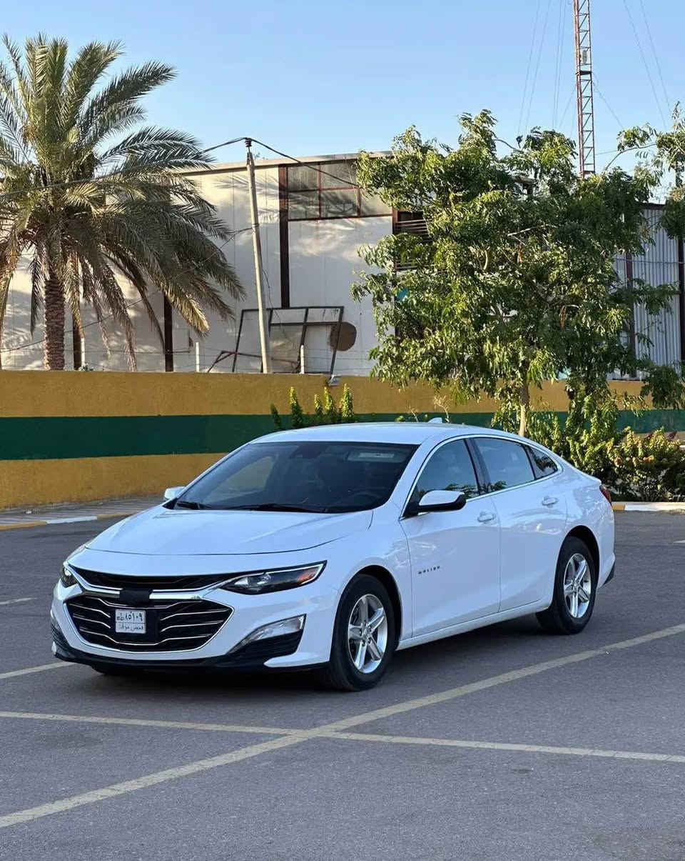 فول LT • ٢٠٢٤ • بدون رقم