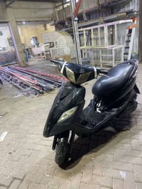 سكنس ثعلب • مراوس بوكسر • ممرقمه