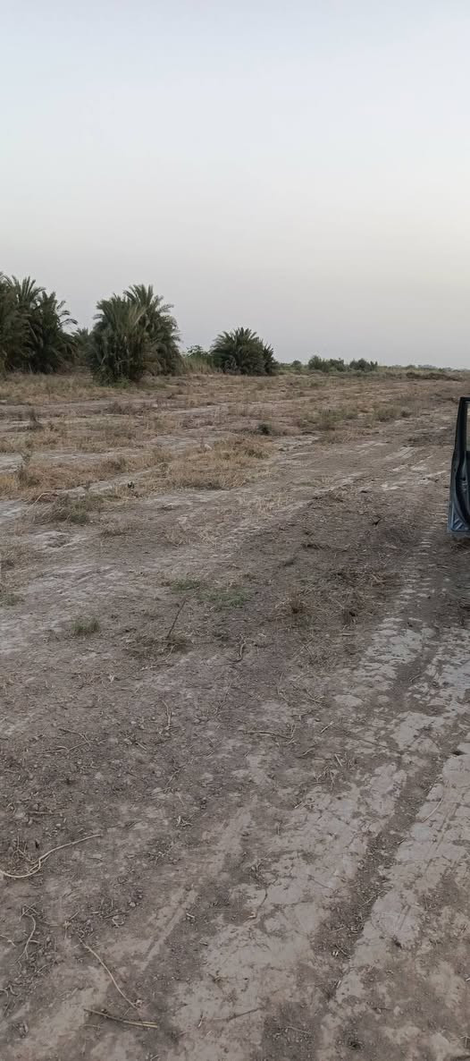 السلام عليكم ارض زراعيه للبيع 13 دونم تبعد عن التبليط 300 متر ماي كهرباء كله متوفر المكان ع عدال عواد الرعده ***********
