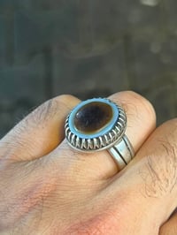 قال النبي(ص): (أن في الجنة منازل لا ينالها العباد بأعمالهم   ليس لها ع...