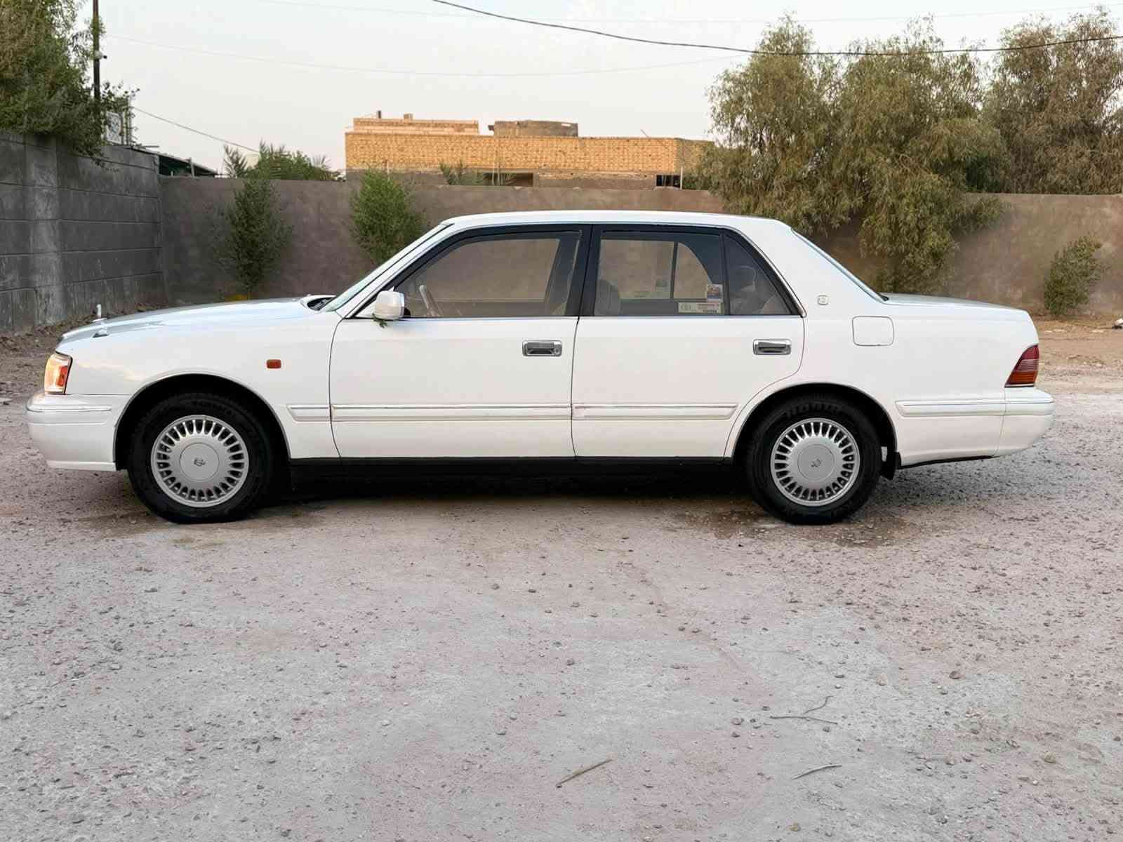راس ثور • رقم نجف • مكينه وكير جديد