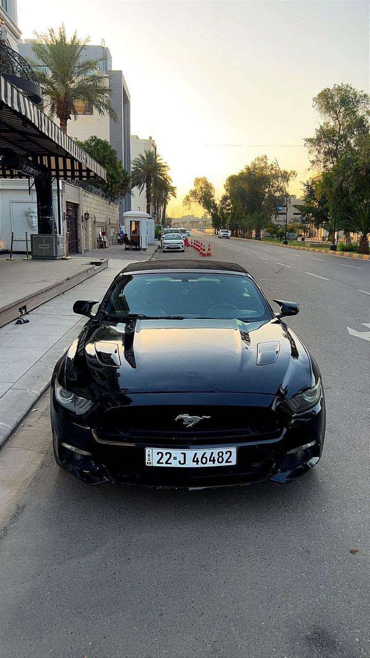 موستانغ • ٢٠١٦ • رقم اربيل