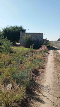 بستان ٢دونم • طابو زراعي • ٣ بيوت