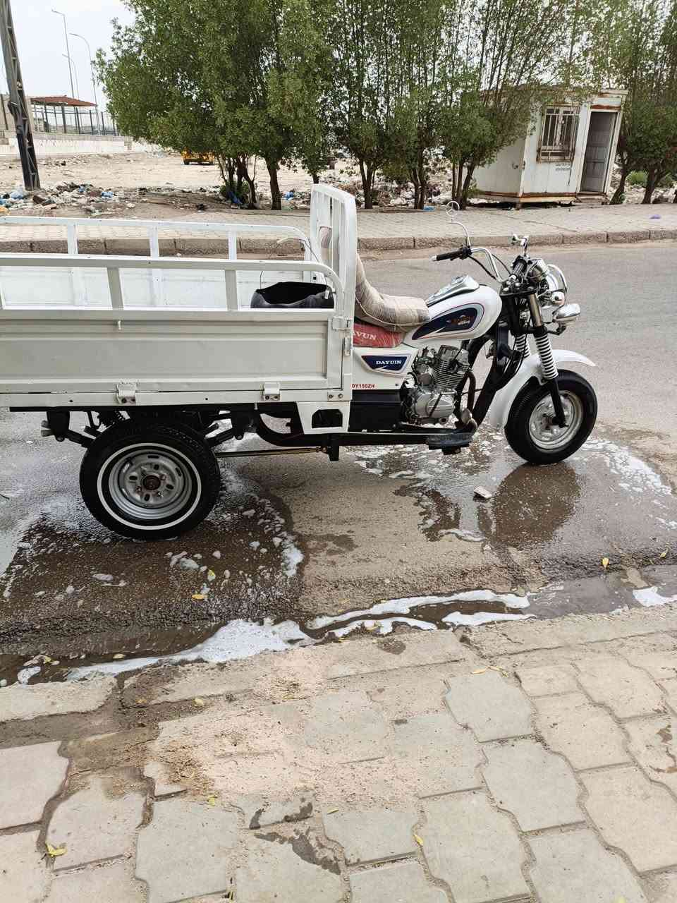 ستوته • ٢٠٢٠ • اوراق صولي