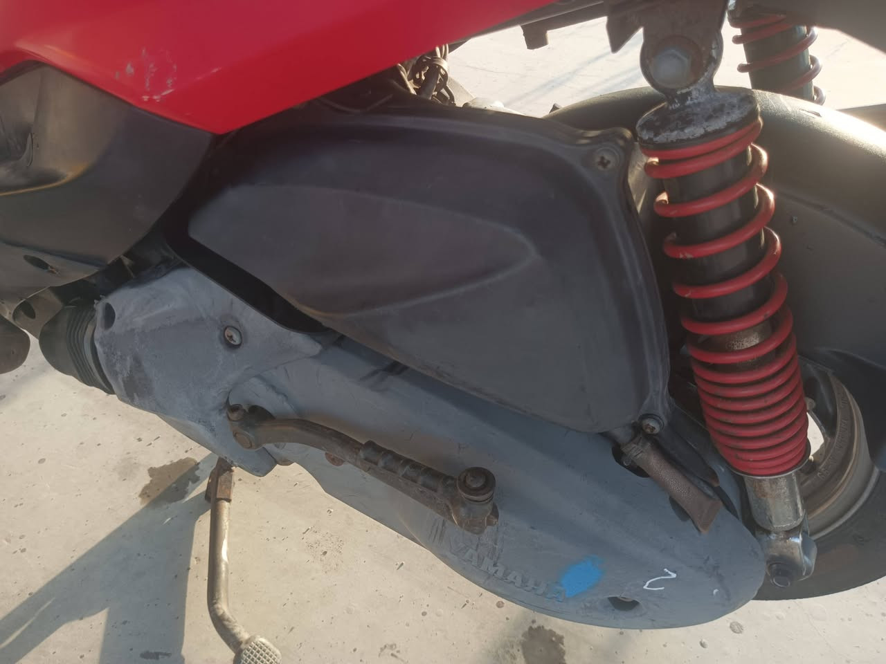 ثعلب ساله شهر من نازله من رنبه
سعر 850 بغداد ***********

