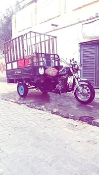 ستوته • اوراق • ٢٠١٤