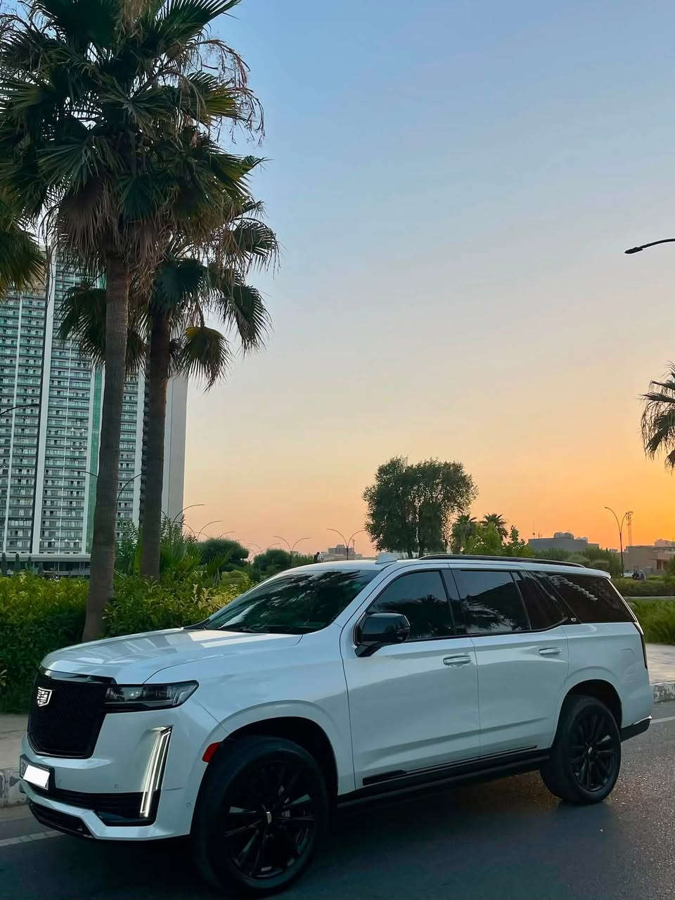 Cadillac (600) 2021 شرکە منصور ضمان دولي
کلین دعامیە لدعامیە مکفولە
ماشیە فقط ٣٥ الف کیلو
٣٦ سماعە
کشنات مساج
داتاشو
فوول مواصفات 
مکان : اربیل
للستفسار : ***********
