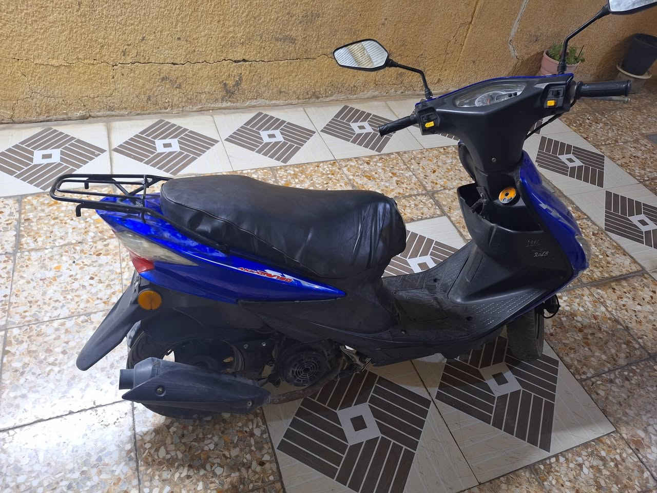 ادرس صيني • دخن • كربلاء