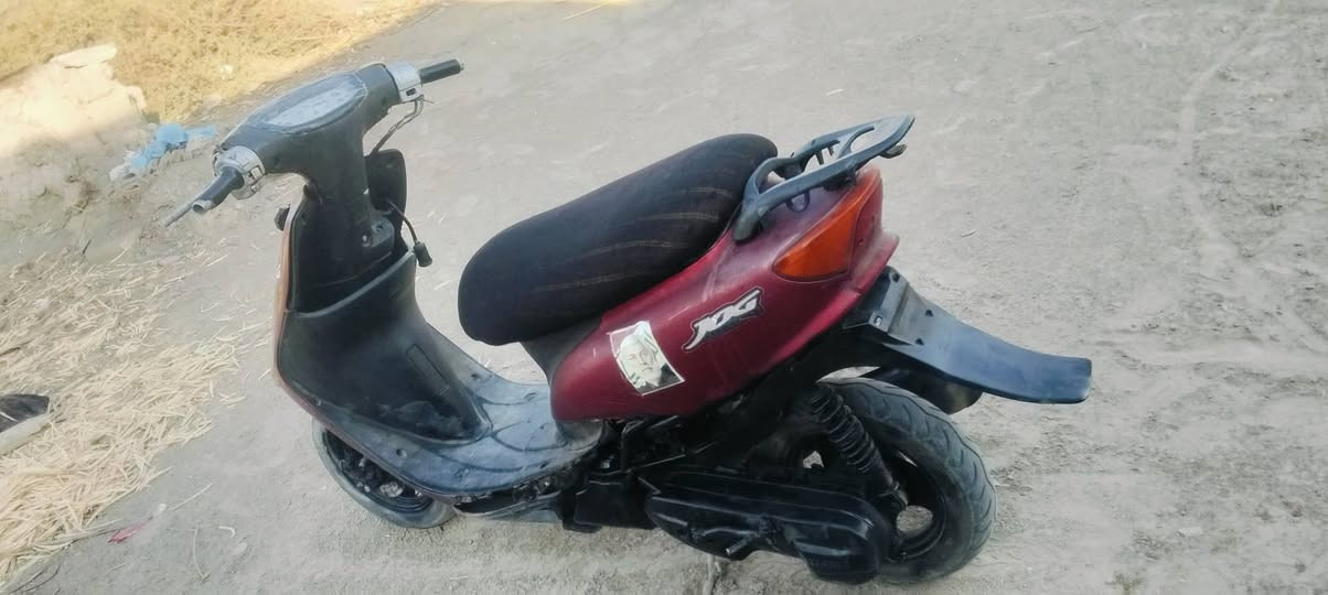 السلام عليكم ذبانه عصفوري البيع سعر 150وبيهى مجال  ***********
