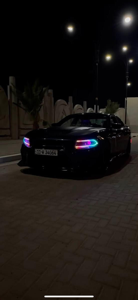 الهم صل على محمد وال محمد❤️
الوحش للبيع او المراوس حسب القناعة
SRT  SCATBACK SUPER TRACK BACK 6.4 2016
الون متغير 3 شذرات
ليد متغير تحكم هاتف امامي
ليد متغير تحكم هاتف خلفي 
سقف رولز رويس متغير تحكم كونترول
دواخل بلكامل ليد متغير تحكم هاتف
ويل نجمة خسفة قوية اصلي من شركة احمد ورمزي
بنيد وايد بودي
دعاميات وايد بودي
ستيرن دركة فورجد الياف حقيقي وليس صناعي اصلي 100% واذا متعرف سعرة لا تسولف 
رقم بغداد تحويل مباشر مشروع وطني لكل المحافضات باسمي
كزوزات  بورلا
بطيخات كورسا ضغط هوائي تفتح وتغلق 
ادامة كاملة للسيارة 
بلكات امريكان ريسنك NGK
فيت بم امريكان ريسنك 
عبوةSRT اصلي
ادامة كاملة لمنضومة التبريد
فول هوائيات
فول برمجة
ممشى السيارة 90mi
وارد كندي كفالة عامة بلعراق صار بيها حادث جاملغ وباردات 2 بسيطات جدا بدون دواخل
كشنات دبل حضن هيلكات
خزن ميموري وضعيات قيادة للكرسي
سوبر تراك باك 🚀
السيارة جديدة بمعنى الكلمة من ناحية النضافة زيرو وتجي وتشوف بعينك👌👍🏻
السعر اتصال ورجاء اقرة الشرح و المواصفات قبل لتخابرني فدوة اروحلك السيارات هواي وكل وحدة سعرها ونضافتها  مكاني البصرة الجزائر ***********
