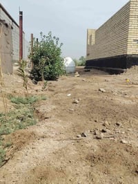 بابل جبله • ٢ دونم • طابو زراعي