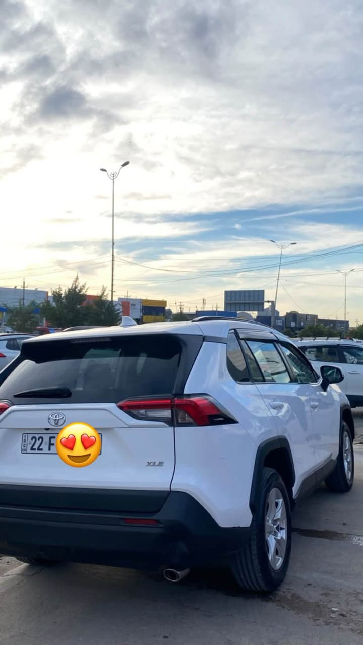 XLE • ماشية ١٣٠ • رقم اربيل