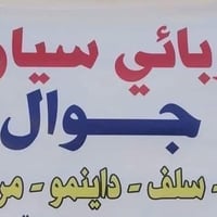 كهربائي سيارات • متنقل
