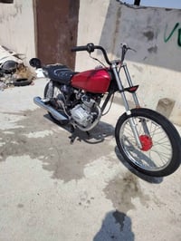 انتنس • ٢٠٢٤ • منفيس