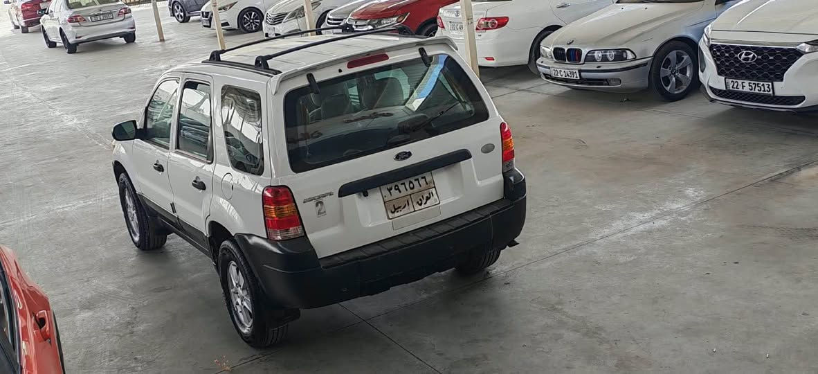 اسكيب ٢٠٠٧ • بدون صبغ • تحويل وكاله