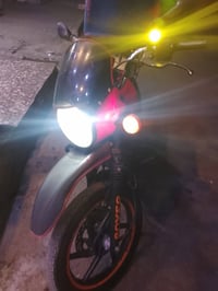 بوكسر جبلي • 22 • مرقم