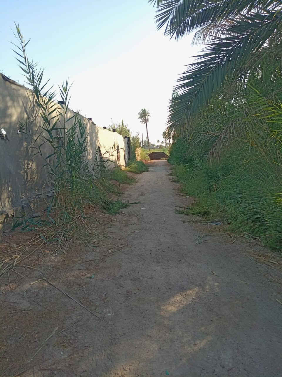 🌿 دونم زراعي للبيع  🌿

فرصة مميزة لامتلاك دونم زراعي بسند 25، مع تحويل رسمي مباشر باسم المشتري.

📍 الموقع:
طويريج – الرشيدة، قرب سيطرة 19 على طريق محمد العابد، ويبعد أقل من 300 متر عن الشارع المبلط.

✅ جميع الخدمات متوفرة.
✅ موقع مناسب للسكن أو الاستثمار.

📞 للتواصل:
اتصال أو واتساب: *********** كربلاء, العراق
