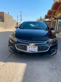 ماليبو • ٢٠١٨ • بابل الاسكندريه