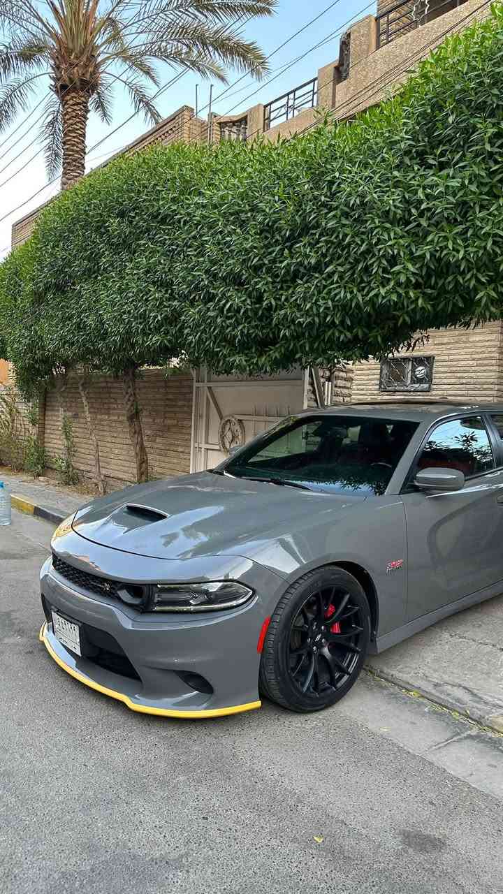 دوج جارجر سكات باك خليجي وكالة 2019
السلام عليكم دوج جارجر سكات باك خليجي وكالة 2019 
للبيع 
محرك 8 سلندر 6400
السيارة ماشية 50 الف كيلو  
مكفولة كفالة عامة بيها تكحيل بسيط بالدعامية الخلفيه كير مكينه مكفول بشرط 

المواصفات :
•   عداد سرعة 300 .
•   نقطة عمياء .
• داخل احمر بلادي .
•   مكابح رياضية (برمبو) .
. LED لايت .
•   فتحت سقف (سلايد) .
•   كاميرا خلفية .
•   امكانية التحكم بوضعيات المقود كهربائيا .
•   كزوز سستم .
•   حساسات خلفية .
•   ويل قياس 20 أنج هيلكات اصلي 
. ALPINE سستم صوت 
•   تشغيل عن بعد
•   ذاكرة لحفظ وضعيات الجلوس (ميموري) .
•   المقاعد الأمامية تبريد وتدفئة .
•   المقاعد الخلفية تدفئة .
•   نظام خرائط GPS .
•   شاشة كبيرة قياس 8.4 أنج اوپشنات SRT
•   تدفئة ستيرن .
•   كير شفتر بالستيرن .
•   جناح خلفي .
•   بلوتوث تلفون .
•   محدد سرعة .

السيارة عليها برمجه وتفريغ سيفتي يم مصطفى ايگل 
سعر 295 ورقة وبي مجال
مكان السياره بغداد السيدية  
للاستفسار ***********

