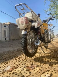 تايگر • اوراق • ٢٢٠٣