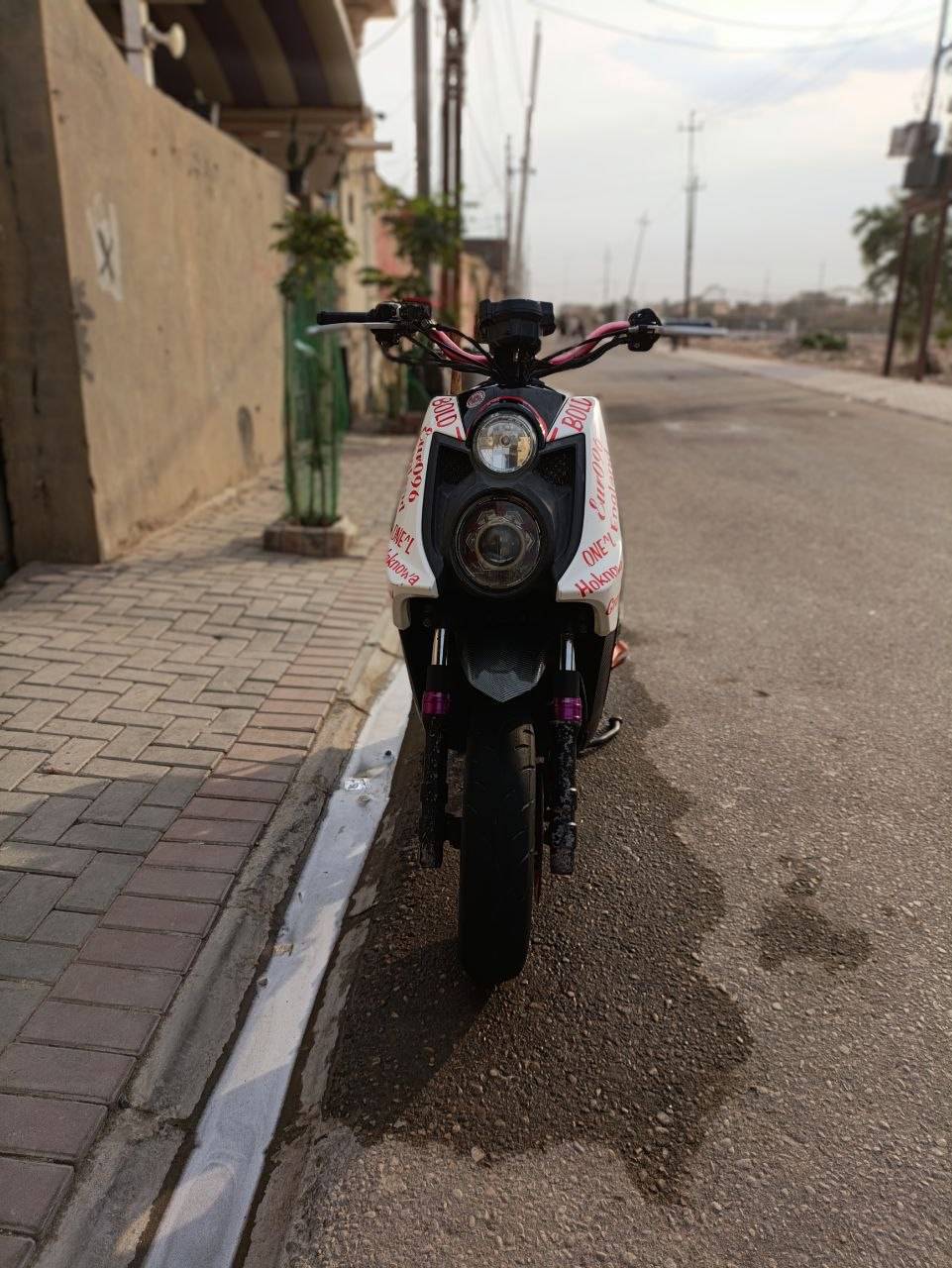 سكنس جبلي • ٢٠١٢ • كفاله عامه