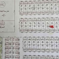 البطلية • ٢٥٠م • طابو