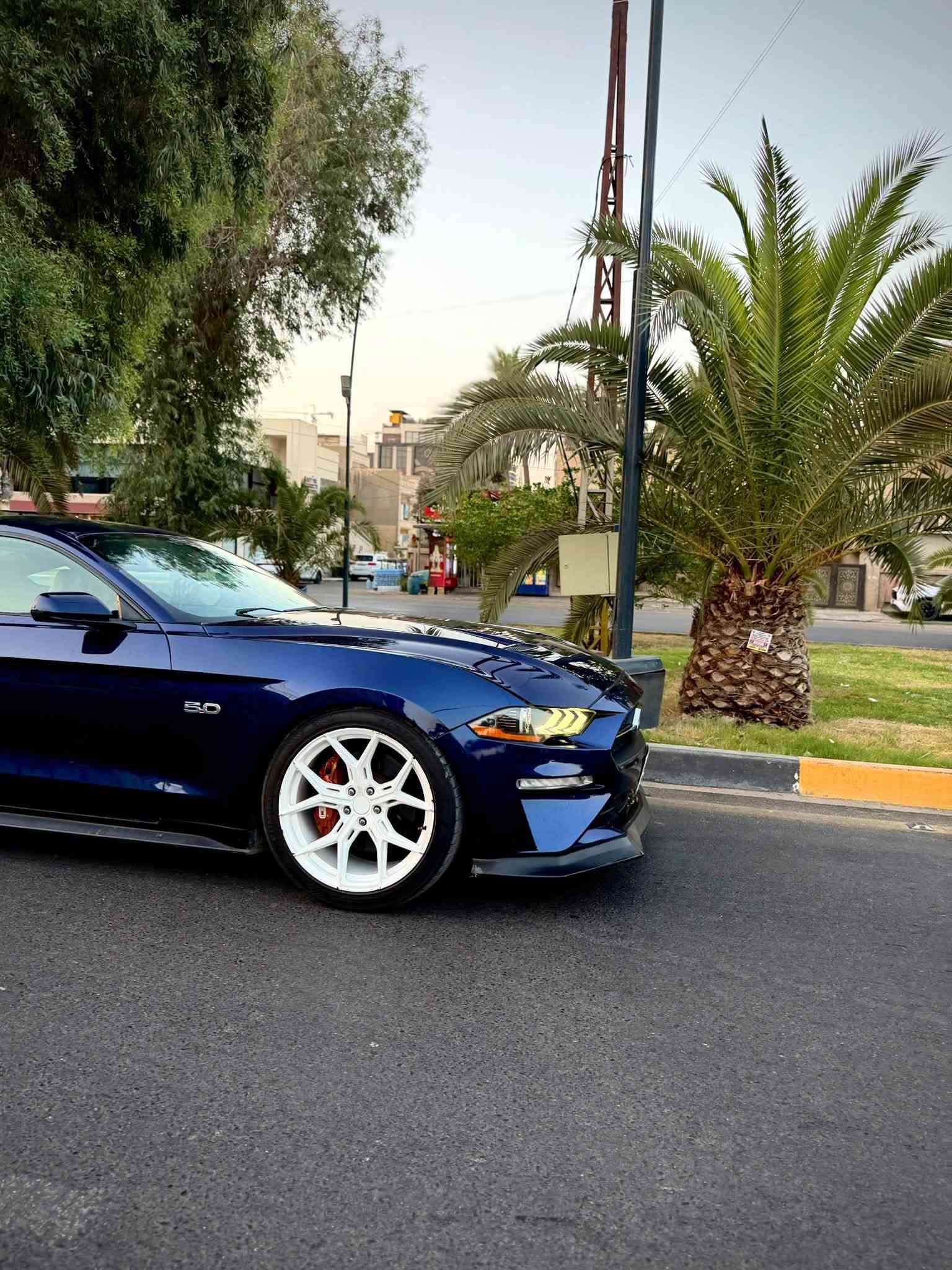 موستانج GT • ٢٠٢٠ • V8