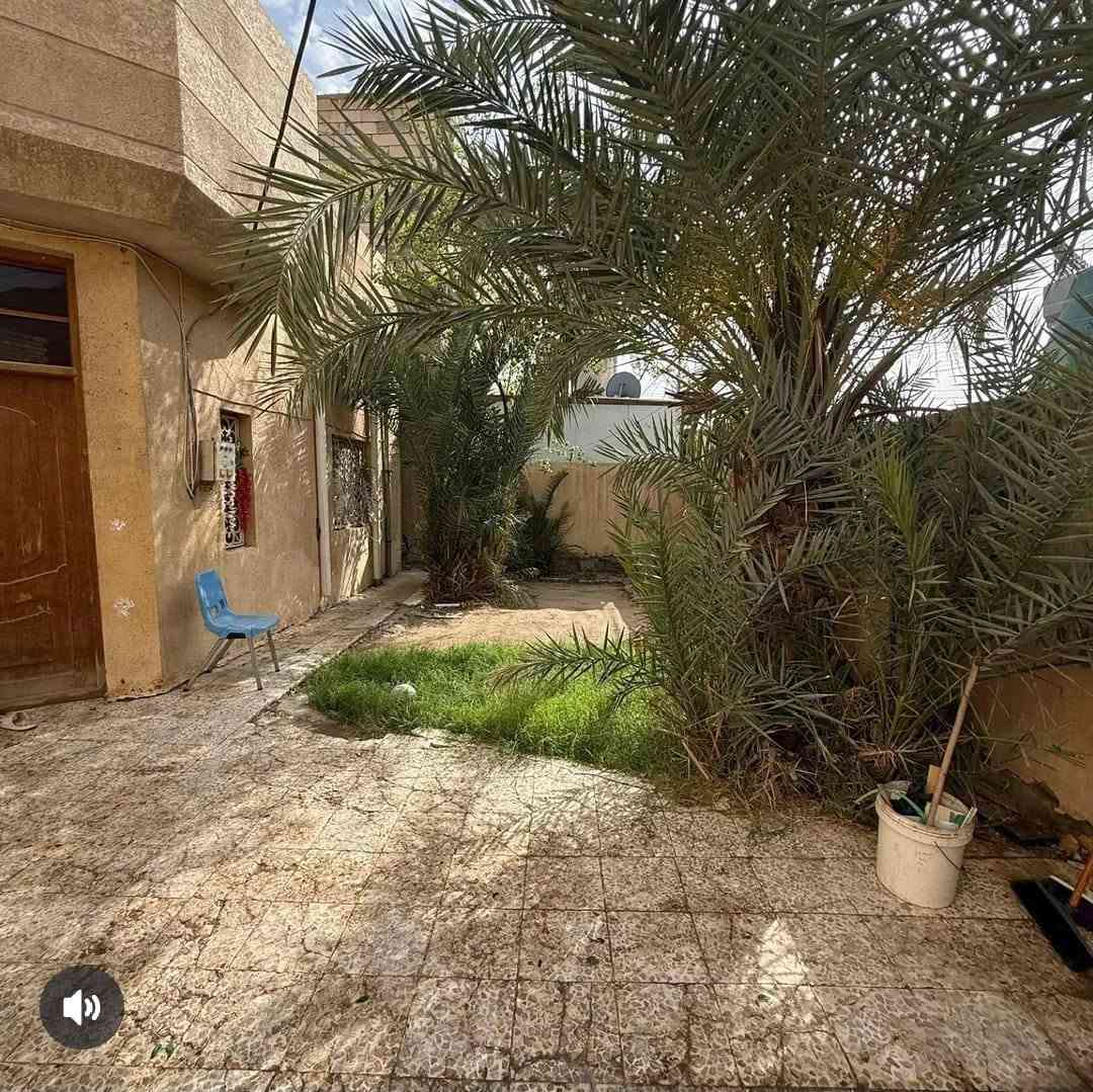 البصرة الحكيمية • ٣٠٠م • طابو صرف