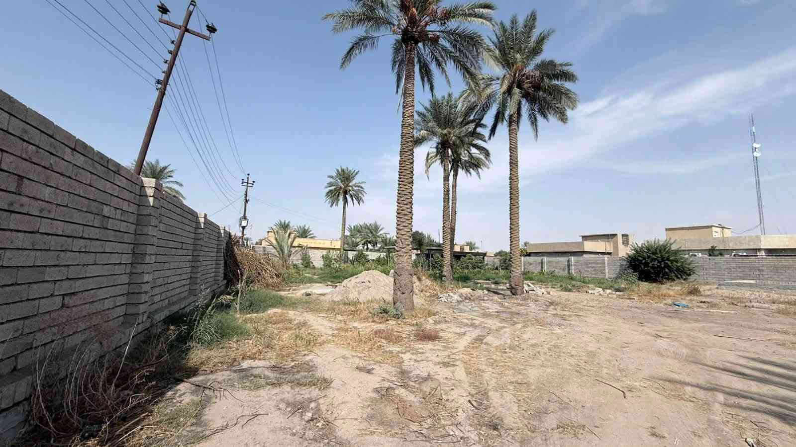 قضاء العلم • دونم • طابو زراعي