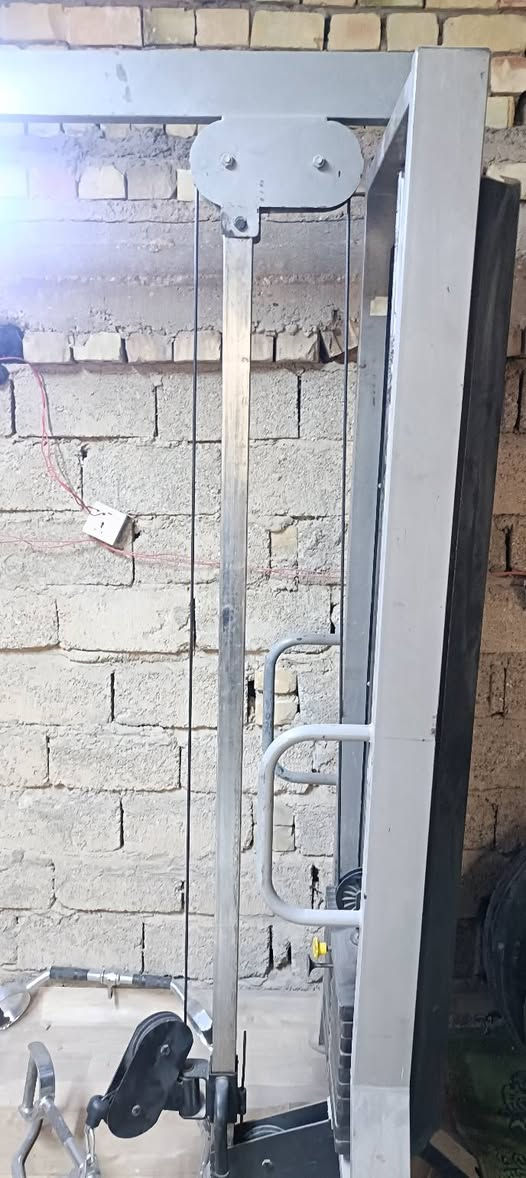 جهاز متقابل • جهاز معدة • سيقان أمامية