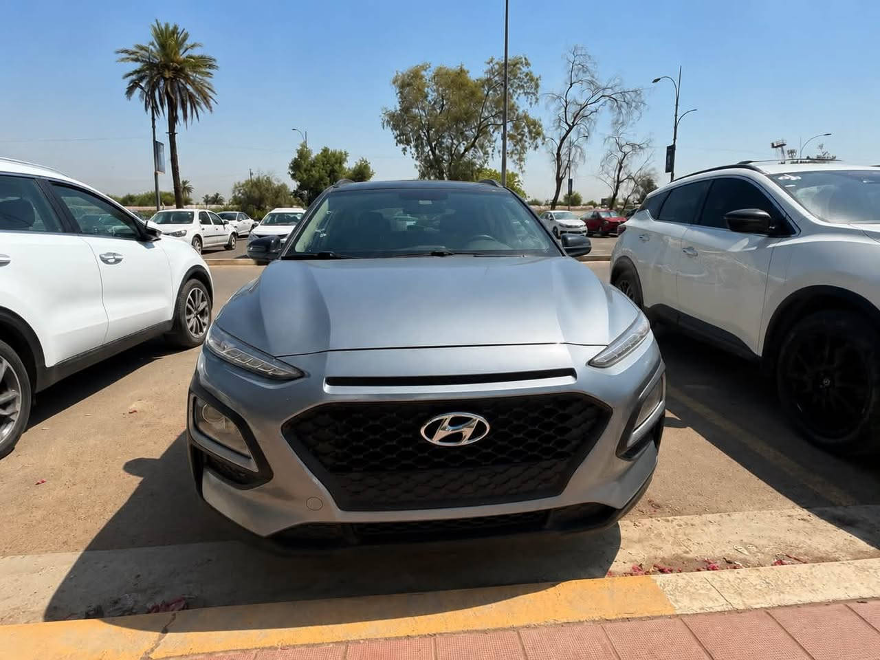 🚗 للبيع: هيونداي
ترهم مراوس
 كونا 2018

• محرك 2.0
• وارد أمريكي 🇺🇸
• بصمة
• بدون فتحة سقف
• ممشى 51 ألف ميل
• حادث سابق: باب السائق تبديل + الباب الخلفي صبغ
• رقم سليمانية
• سنوية جديدة
• السيارة نظيفة وجاهزة للاستخدام
• مراوس أيضًا

📞 للتواصل: ***********

السعر: 135
