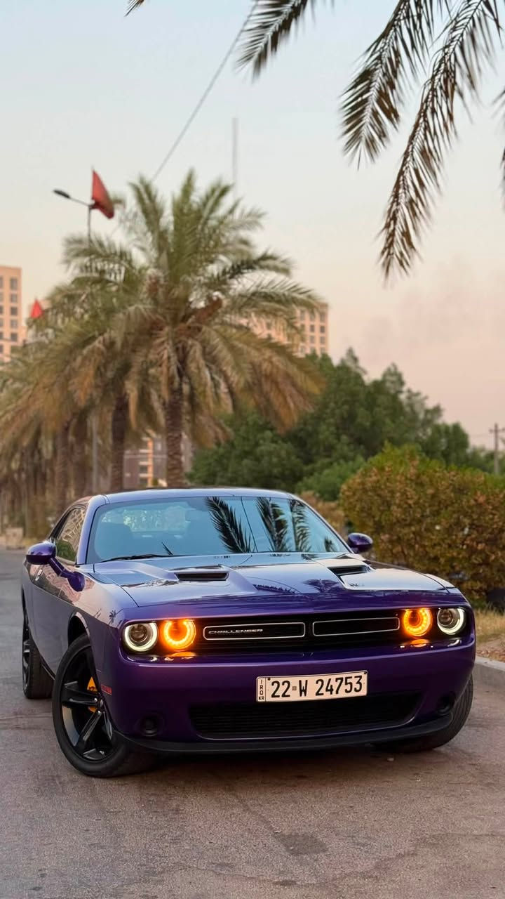 للبيع دوج جالنجر 2023 sxt last call
V6 3.6 / ماشية 46 الف 
لون بنفسجي حادث خلفي بجم كبس 
ايرباك البردة اليمنة فقط 
جاملغ خلفي صبغ و نص الصندوق و الجاملغ الثاني pdr بارد 
تعديل بارد بالشاصي الخلفي الأيمن 
صور الحادث مرفقة 
مواصفات الجالنجر المعروفة 
السيارة جاهزة متصرف عليها ربع 
السعر / 183 ورقة و بيها مجال للشراي 
رقم اربيل تحويل او وكالة 
مكاني بغداد السيدية 
***********
