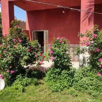 فرع الأمام العگار • ٣ غرف • نصف دونم