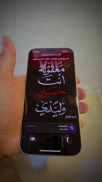 آيفون ١٣ برو ماكس • ٢٥٦ • ظهر مكسور