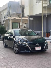 التيما SV • ٢٠٢٥ • بدون صبغ