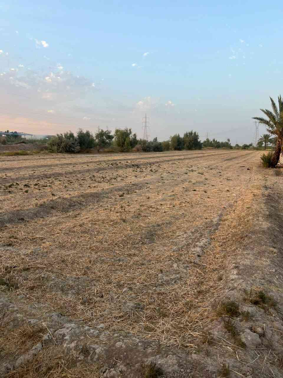 السلام عليكم كاع للبيع 2 دونم الموقع خان بني سعد منطقة حي المصطفى تبعد عن الشارع 50 متر للأستفسار الأتصال على هاذا الرقم ***********
