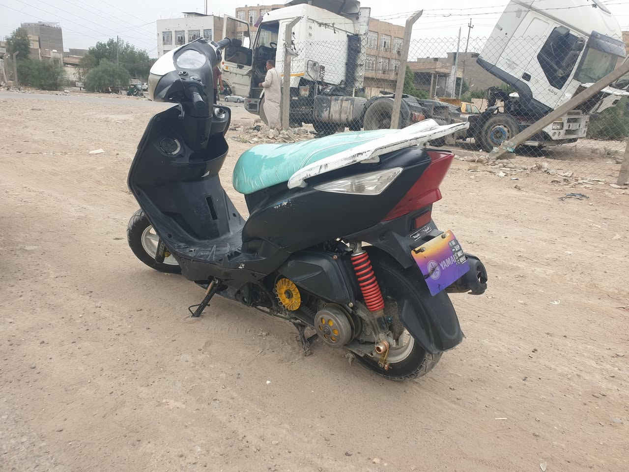 ثعلب • بوشه ٥٩ • سلف